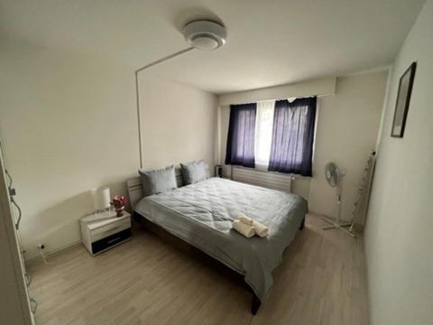 Apartment Beautiful 2.5 In